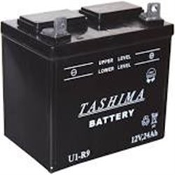 TASHIMA Batterie pour tondeuses autoportées 12V, 18A