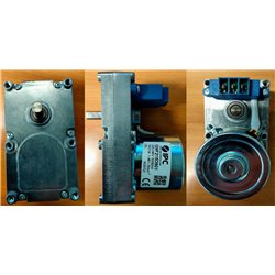 Motoréducteur de vis sans fin 1,3 tour/minute de poele à pellet Palazzetti