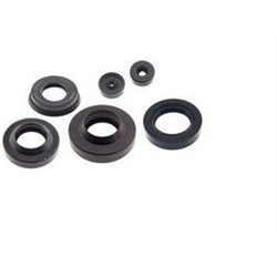 Joint de palier pour lave-linge – Electrolux - 50095515008