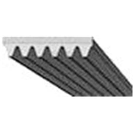 COURROIE PLATE EL 1860 H8 H7 H9 MAEL