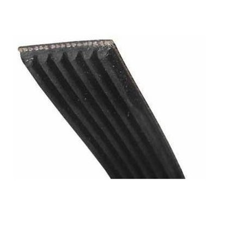 Courroie pour lave-linge / sèche-linge 1204 H8 MAEL – Whirlpool - 481235818167