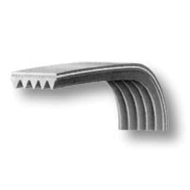 Courroie pour lave-linge / sèche-linge 1236 J4 EL – remplace 1242 J5 – Whirlpool 481235818158