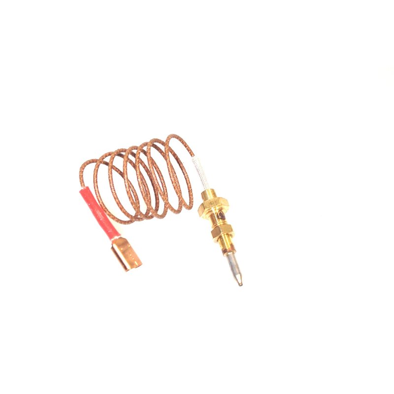 9606211 - THERMOCOUPLE 600MM SABAF 0810 Foster