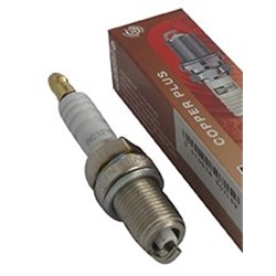 Bougie d'allumage Champion RC12YC- Motoculture